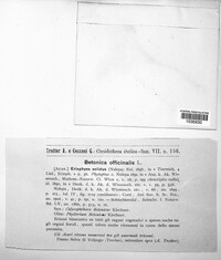 Image Associated With the Occurence